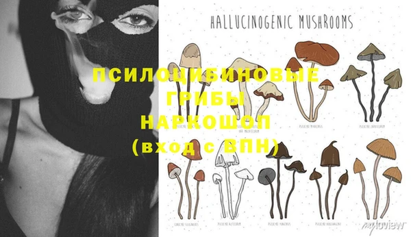 кокс Осинники