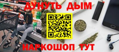 индика Дубна