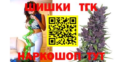 индика Дубна