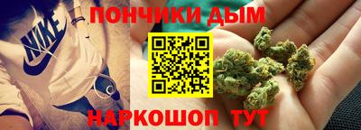 индика Дубна