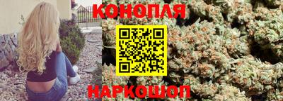 индика Дубна