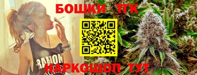 индика Дубна