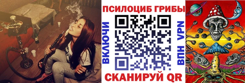 MEGA ССЫЛКА  Балтийск  Псилоцибиновые грибы Psilocybine cubensis 