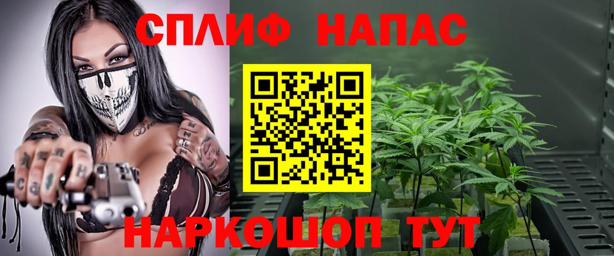 Шишки марихуана VHQ Балтийск