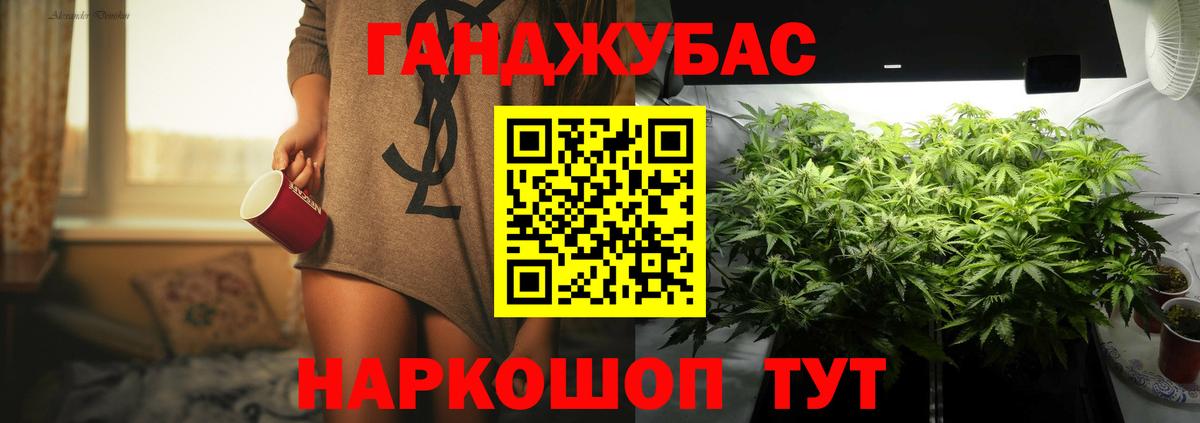 Каннабис гибрид Балтийск